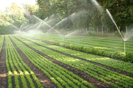 Plastic reservoirs and irrigation systems